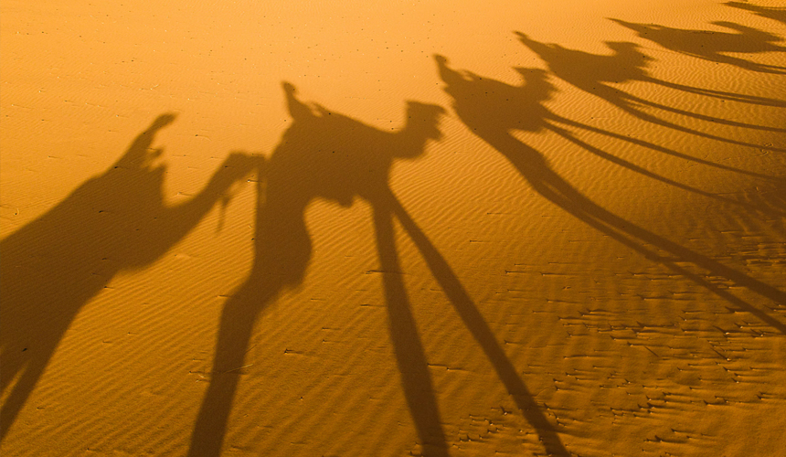 Когда ждать чартеры в Египет